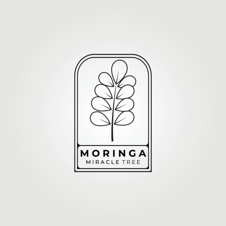 moringa oleifera , miracle tree logo vector illustration design, natural medical , a million benefits